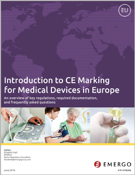 Download our whitepaper Introduction to CE Marking for Medical Devices in Europe