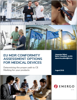 Download our white paper on EU medical device conformity assessments routes under the MDR.