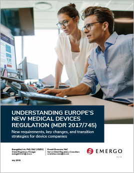 Download our white paper on Understanding Europe's New Medical Device Regulation