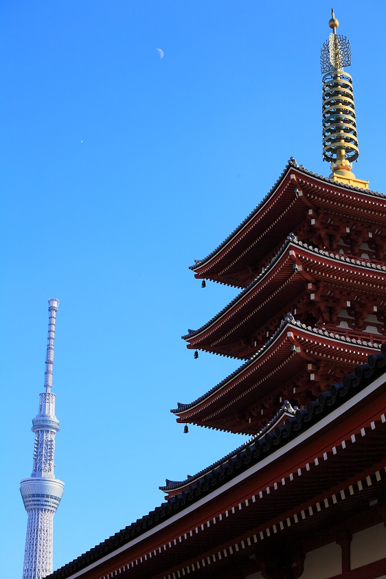 Japan MHLW Ordinance No. 169 and ISO 13485:2016 for medical device quality management